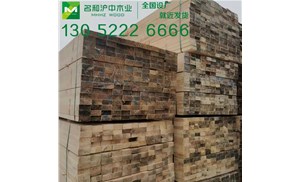 中國木材資源現狀分析
